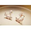 New 925 Silver Rose Gold Plated Zircon Earrings With Detachable Flower Branches